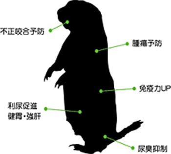 三晃商会 ラビットプラス・ダイエットメンテナンス 1kg うさぎ  